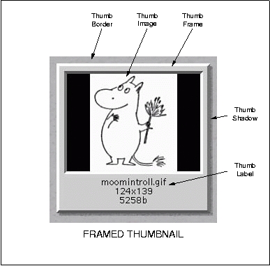 fig/thumbnail-anatomy-framed